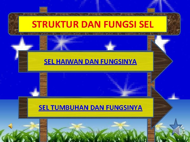 STRUKTUR DAN FUNGSI SEL HAIWAN DAN FUNGSINYA SEL TUMBUHAN DAN FUNGSINYA Nor. Liz@ 