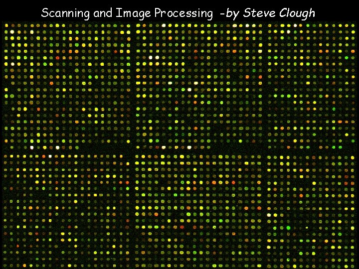 Scanning and Image Processing -by Steve Clough 