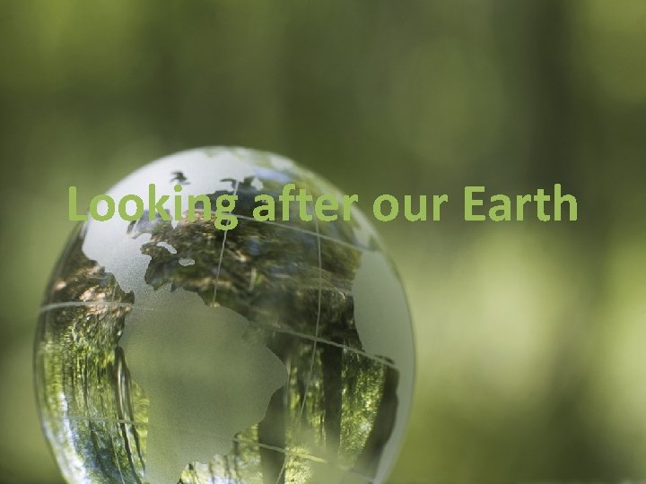 Looking after our Earth 