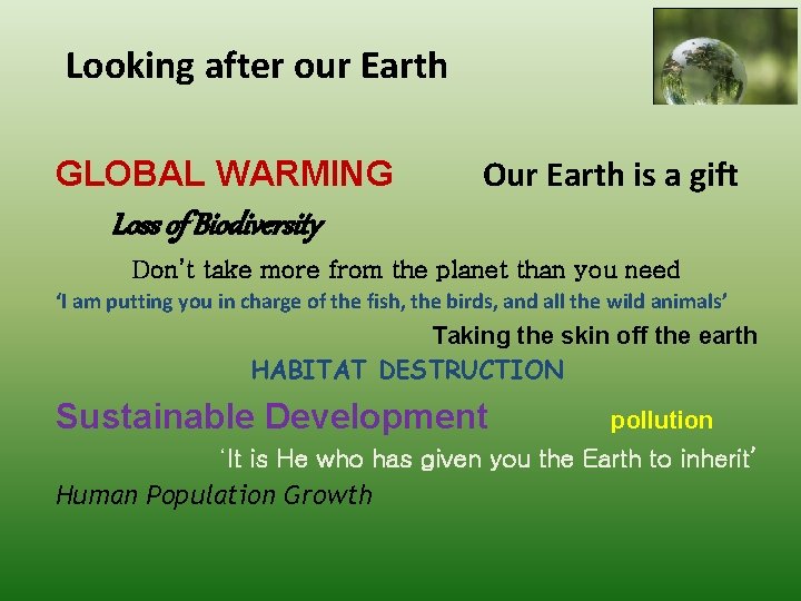 Looking after our Earth GLOBAL WARMING Our Earth is a gift Loss of Biodiversity