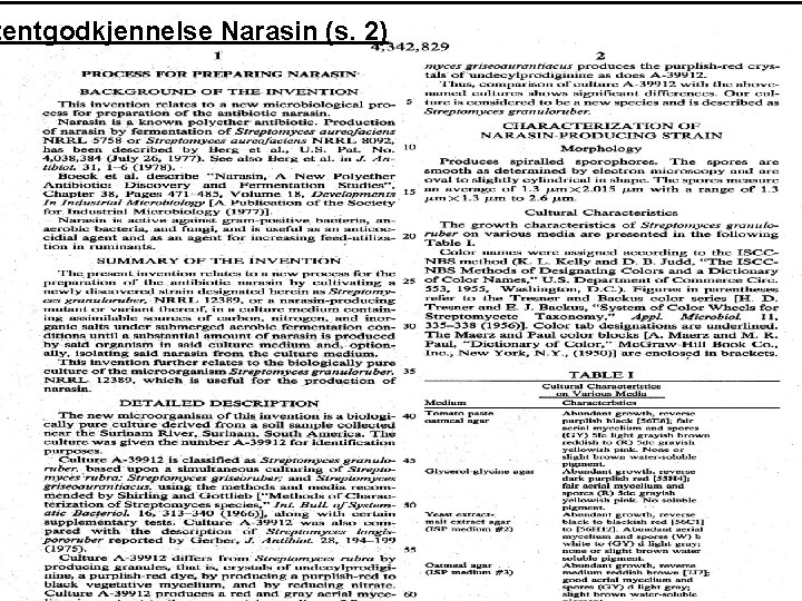 tentgodkjennelse Narasin (s. 2) 