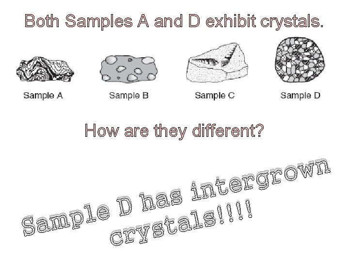 Both Samples A and D exhibit crystals. How are they different? n w o