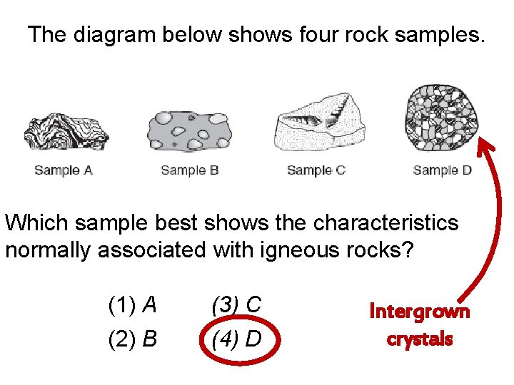 The diagram below shows four rock samples. Which sample best shows the characteristics normally