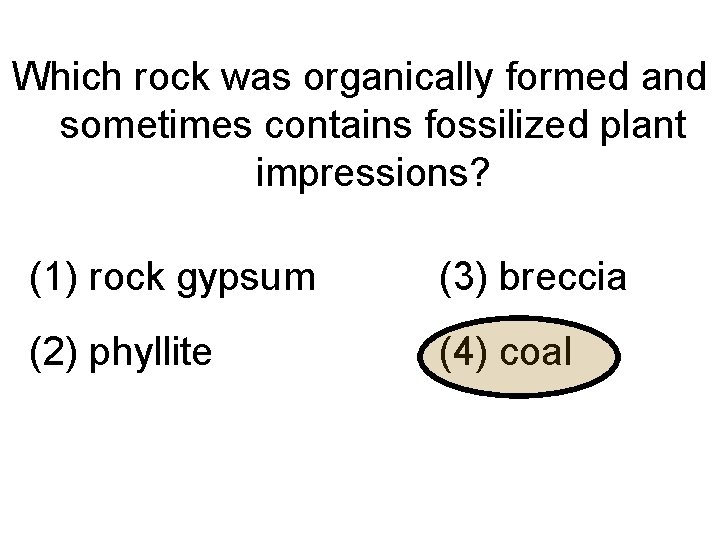 Which rock was organically formed and sometimes contains fossilized plant impressions? (1) rock gypsum