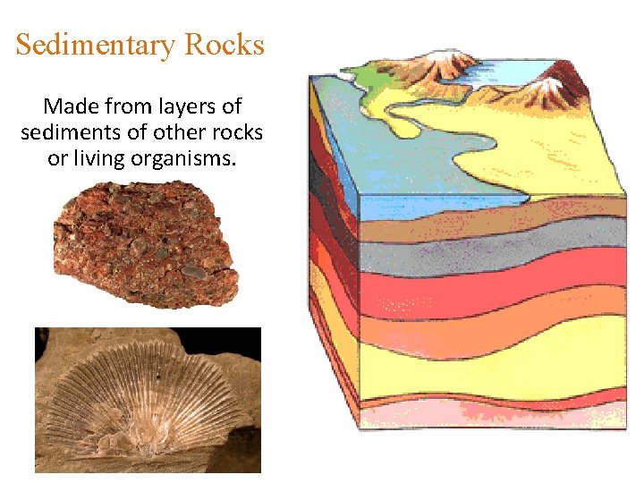 Sedimentary Rocks Made from layers of sediments of other rocks or living organisms. 