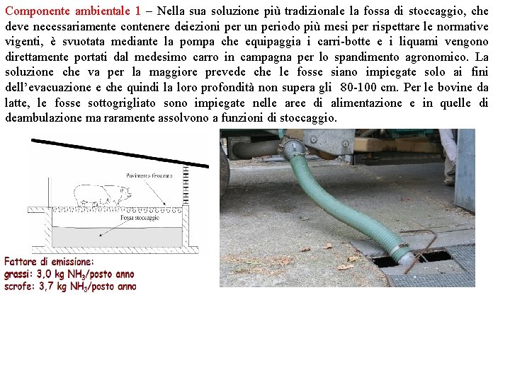 Componente ambientale 1 – Nella sua soluzione più tradizionale la fossa di stoccaggio, che