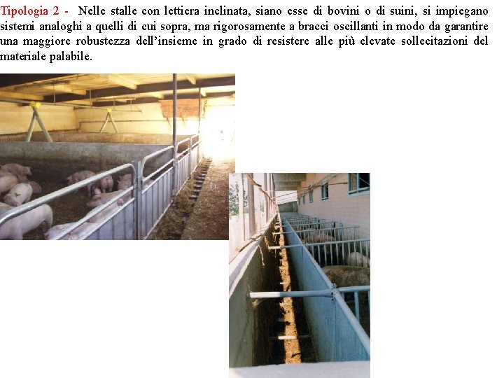 Tipologia 2 - Nelle stalle con lettiera inclinata, siano esse di bovini o di