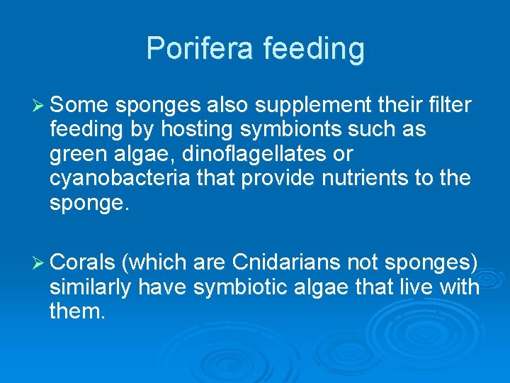 Porifera feeding Ø Some sponges also supplement their filter feeding by hosting symbionts such