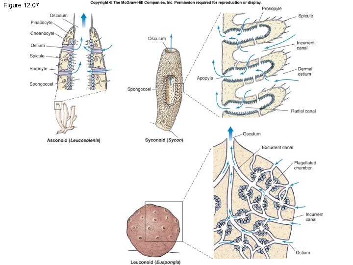 Fig 6. 3 a 