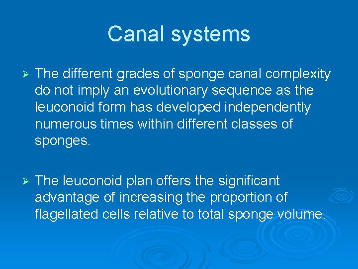 Canal systems Ø The different grades of sponge canal complexity do not imply an