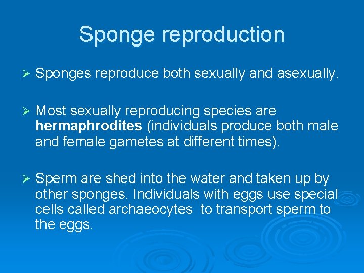 Sponge reproduction Ø Sponges reproduce both sexually and asexually. Ø Most sexually reproducing species