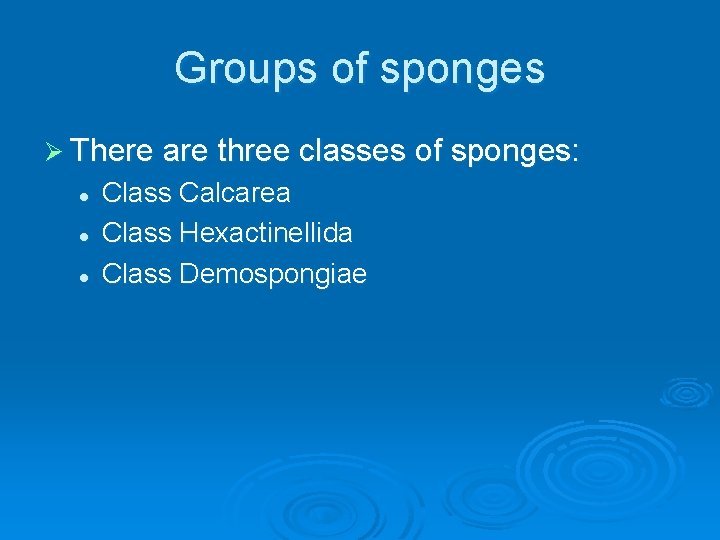 Groups of sponges Ø There are three classes of sponges: l l l Class