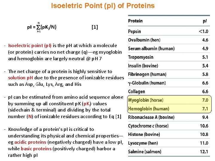 Isoeletric Point (p. I) of Proteins N p. I = (p. Ki/N) i=1 [1]