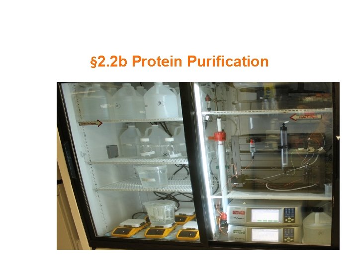 § 2. 2 b Protein Purification 