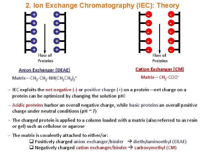 2. Ion Exchange Chromatography (IEC): Theory + + - - + + - -
