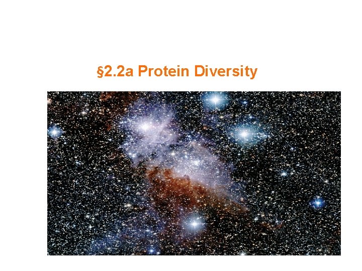 § 2. 2 a Protein Diversity 