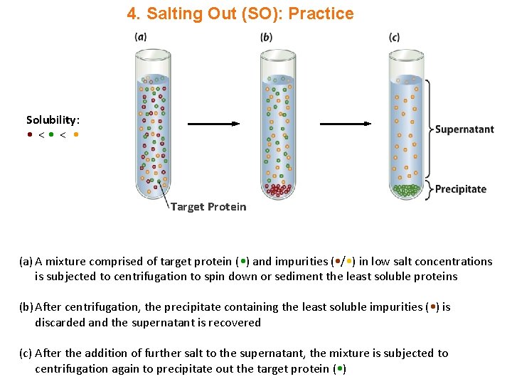 4. Salting Out (SO): Practice Solubility: • < • Target Protein (a) A mixture