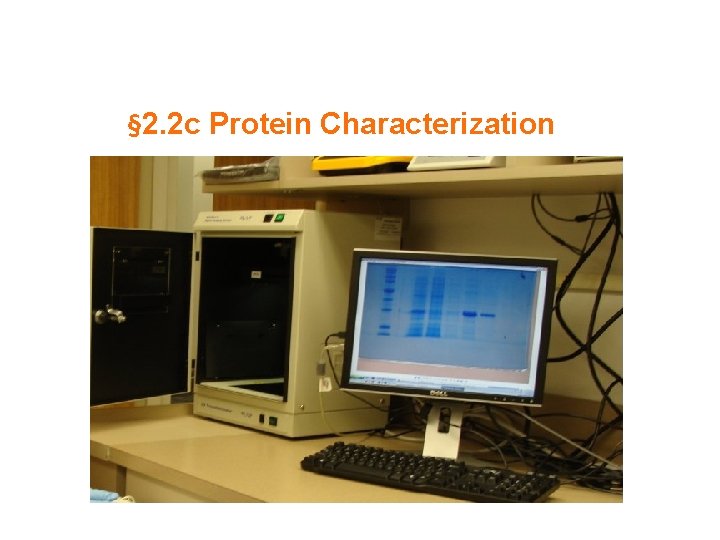 § 2. 2 c Protein Characterization 