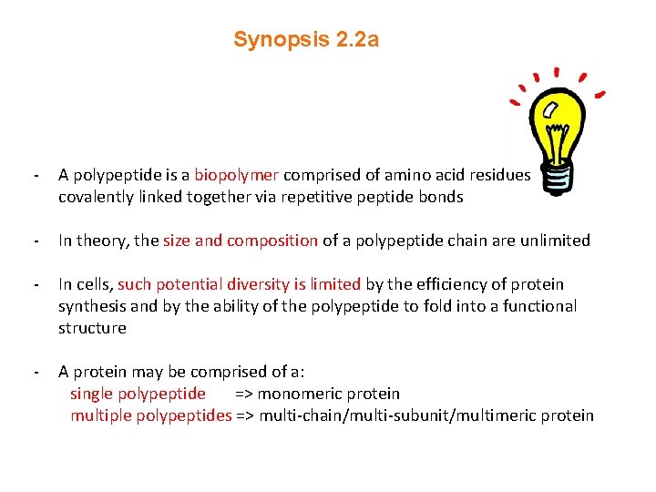 Synopsis 2. 2 a - A polypeptide is a biopolymer comprised of amino acid