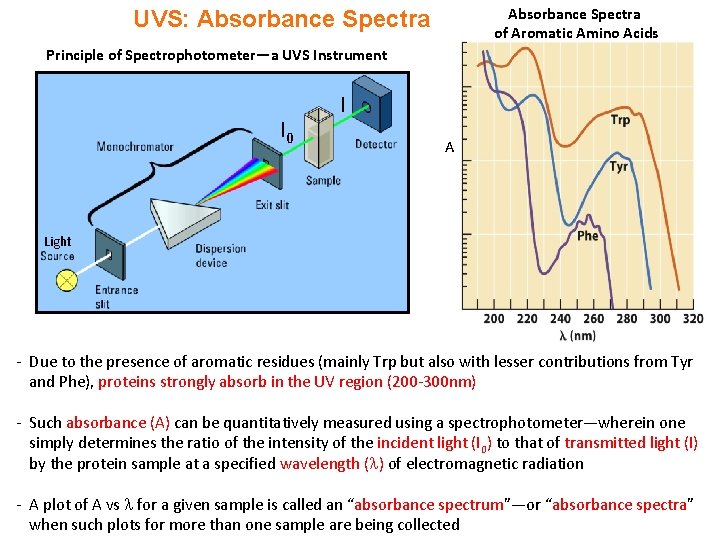 Absorbance Spectra of Aromatic Amino Acids UVS: Absorbance Spectra Principle of Spectrophotometer—a UVS Instrument