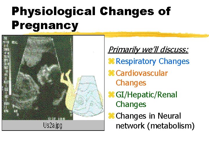 Physiological Changes of Pregnancy Primarily we’ll discuss: z Respiratory Changes z Cardiovascular Changes z