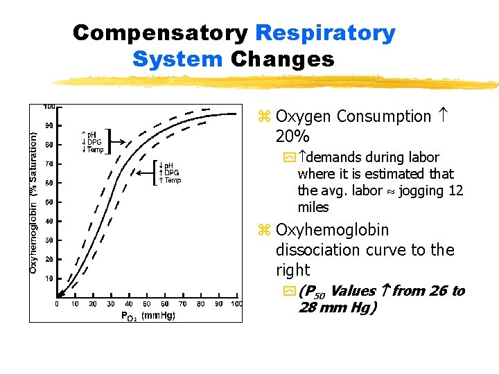 Compensatory Respiratory System Changes z z Oxygen Consumption 20% y demands during labor where