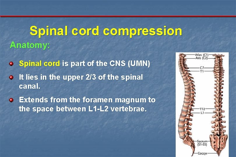 Spinal cord compression Anatomy: Spinal cord is part of the CNS (UMN) It lies