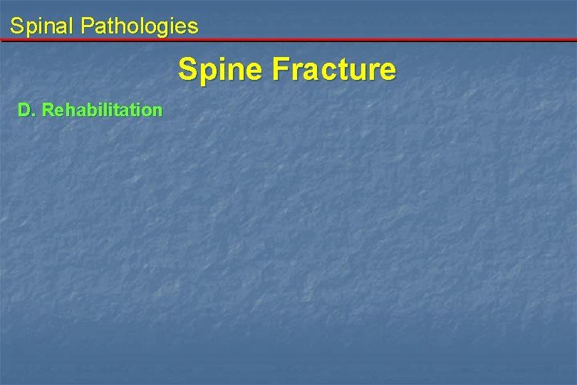 Spinal Pathologies Spine Fracture D. Rehabilitation 