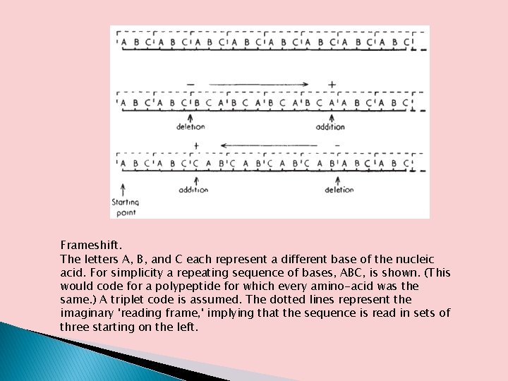 Frameshift. The letters A, B, and C each represent a different base of the