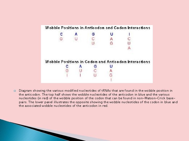 � Diagram showing the various modified nucleotides of t. RNAs that are found in