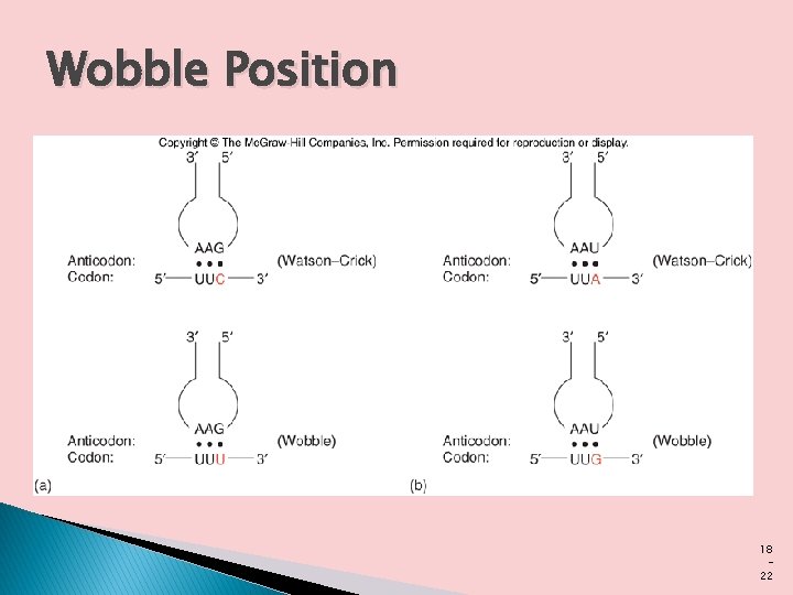 Wobble Position 18 22 