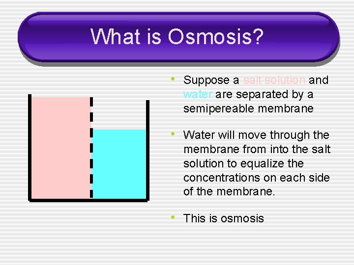 What is Osmosis? • Suppose a salt solution and water are separated by a