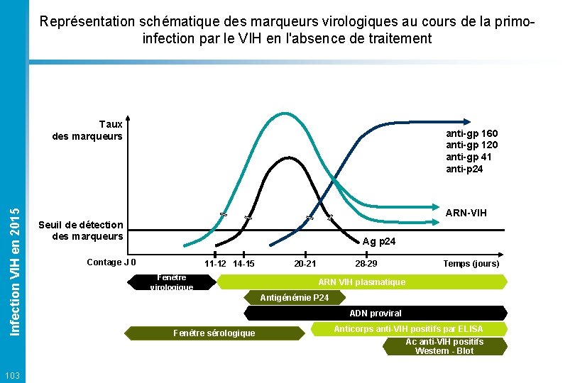 Représentation schématique des marqueurs virologiques au cours de la primoinfection par le VIH en