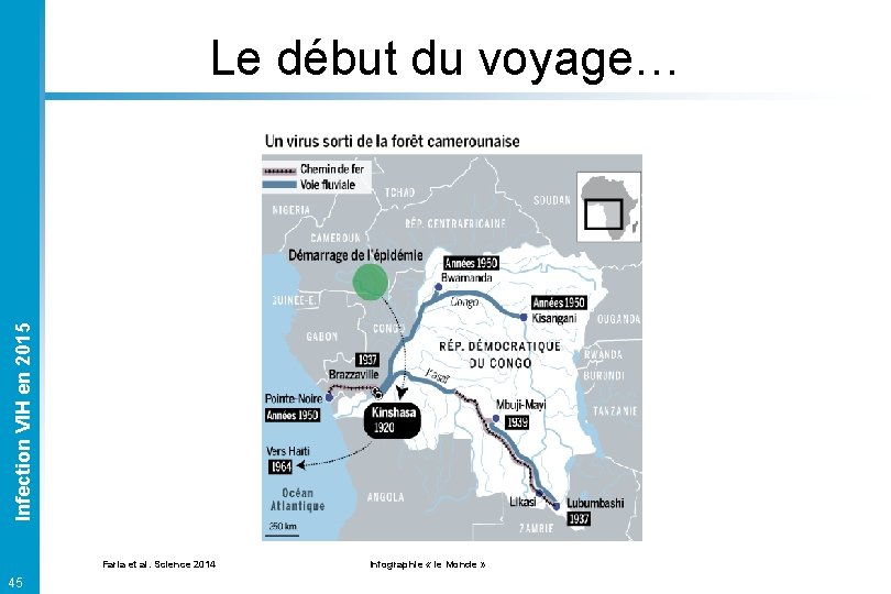 Infection VIH en 2015 Le début du voyage… Faria et al. Science 2014 Infographie