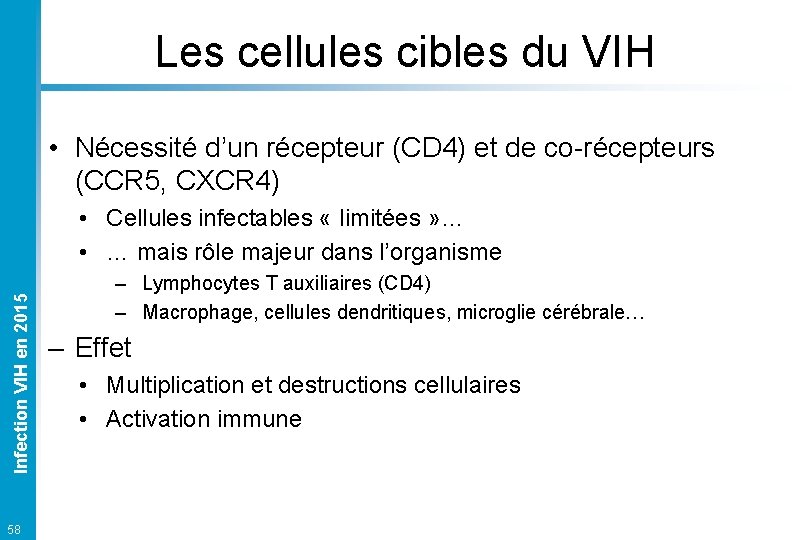 Les cellules cibles du VIH • Nécessité d’un récepteur (CD 4) et de co-récepteurs