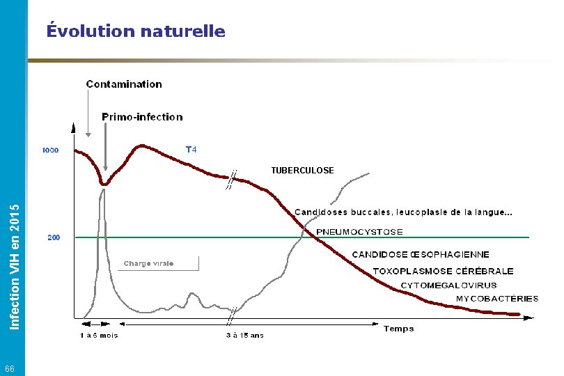 Evolution naturelle Infection VIH en 2015 TUBERCULOSE 66 