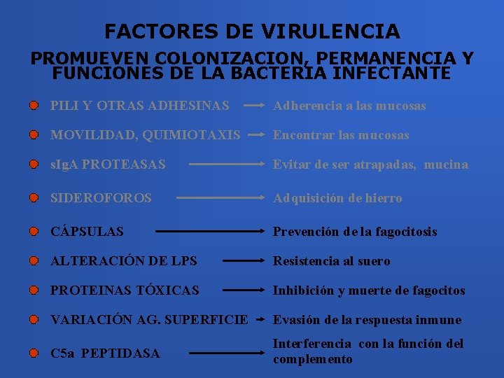 FACTORES DE VIRULENCIA PROMUEVEN COLONIZACION, PERMANENCIA Y FUNCIONES DE LA BACTERIA INFECTANTE PILI Y