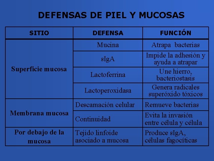 DEFENSAS DE PIEL Y MUCOSAS SITIO DEFENSA FUNCIÓN Mucina Atrapa bacterias Impide la adhesión