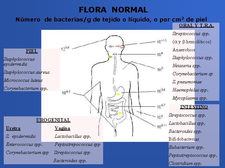 FLORA NORMAL Número de bacterias/g de tejido o líquido, o por cm 2 de
