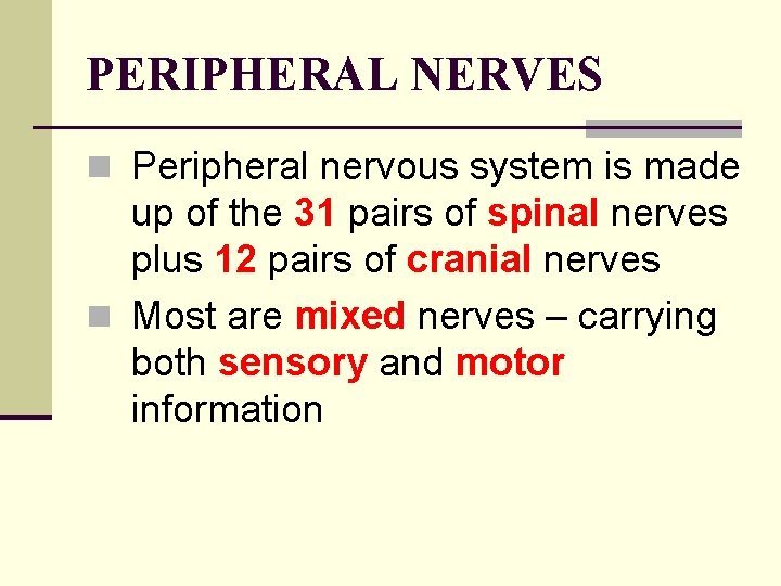 PERIPHERAL NERVES n Peripheral nervous system is made up of the 31 pairs of