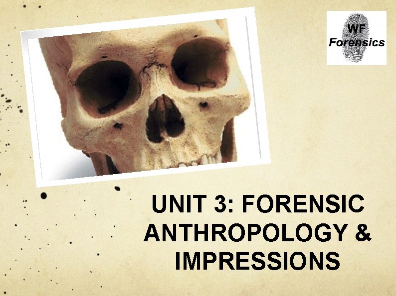 UNIT 3: FORENSIC ANTHROPOLOGY & IMPRESSIONS 