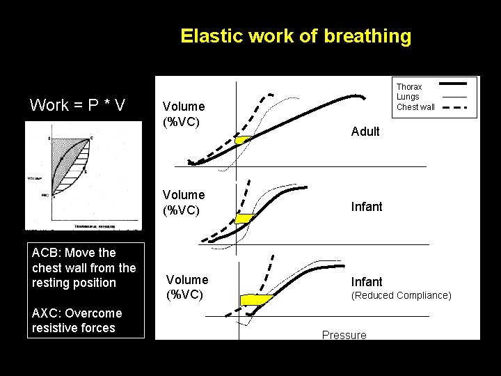 Elastic work of breathing Work = P * V ACB: Move the chest wall