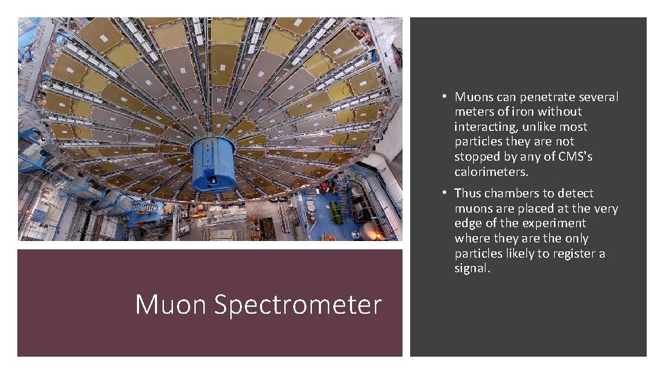  • Muons can penetrate several meters of iron without interacting, unlike most particles