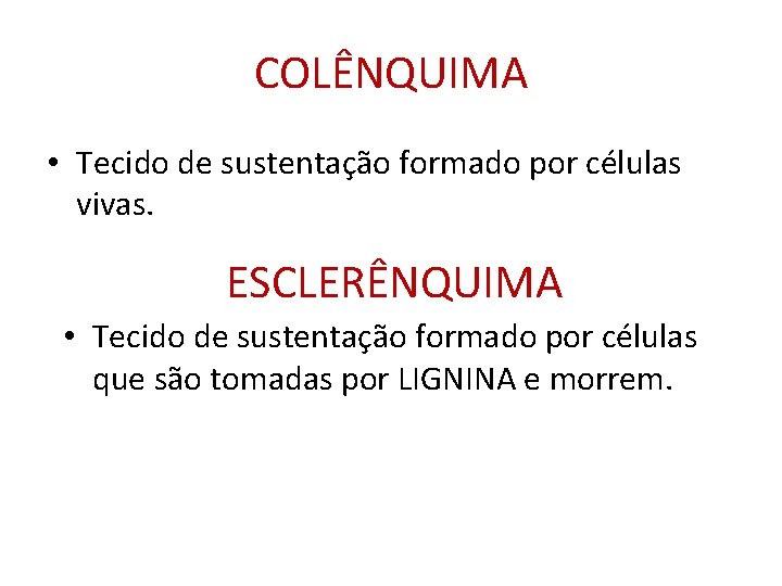 COLÊNQUIMA • Tecido de sustentação formado por células vivas. ESCLERÊNQUIMA • Tecido de sustentação