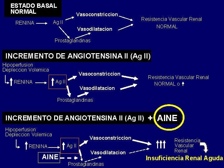 ESTADO BASAL NORMAL Vasoconstriccion Ag II RENINA Resistencia Vascular Renal NORMAL Vasodilatacion Prostaglandinas INCREMENTO ESTADO BASAL NORMAL Vasoconstriccion Ag II RENINA Resistencia Vascular Renal NORMAL Vasodilatacion Prostaglandinas INCREMENTO