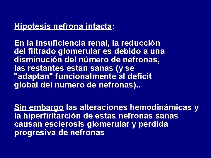 Hipotesis nefrona intacta: En la insuficiencia renal, la reducción del filtrado glomerular es debido Hipotesis nefrona intacta: En la insuficiencia renal, la reducción del filtrado glomerular es debido