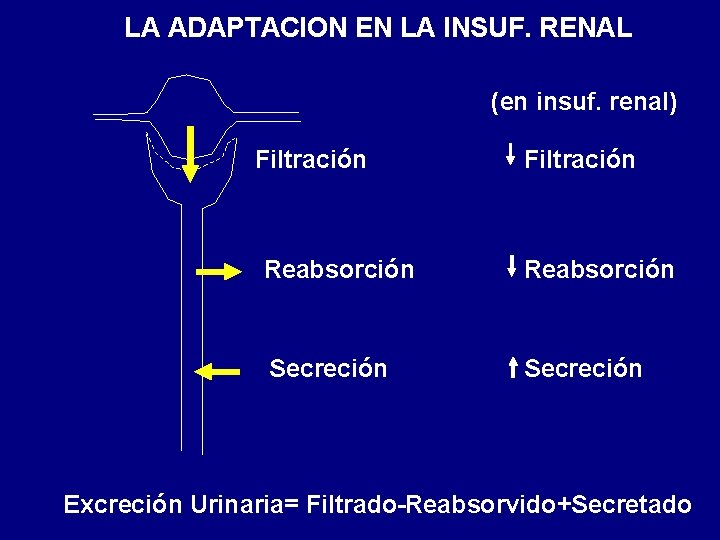 LA ADAPTACION EN LA INSUF. RENAL (en insuf. renal) Filtración Reabsorción Secreción Excreción Urinaria= LA ADAPTACION EN LA INSUF. RENAL (en insuf. renal) Filtración Reabsorción Secreción Excreción Urinaria=