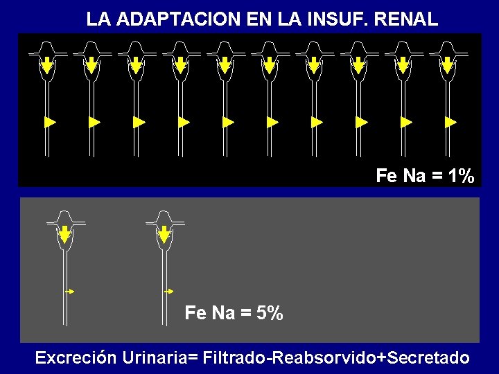 LA ADAPTACION EN LA INSUF. RENAL Fe Na = 1% Fe Na = 5% LA ADAPTACION EN LA INSUF. RENAL Fe Na = 1% Fe Na = 5%