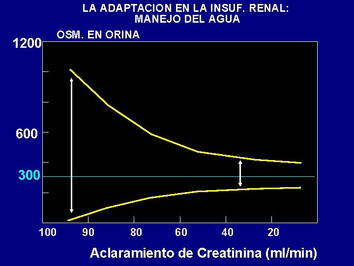 1200 LA ADAPTACION EN LA INSUF. RENAL: MANEJO DEL AGUA OSM. EN ORINA 600 1200 LA ADAPTACION EN LA INSUF. RENAL: MANEJO DEL AGUA OSM. EN ORINA 600