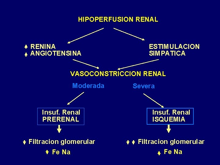 HIPOPERFUSION RENAL RENINA ANGIOTENSINA ESTIMULACION SIMPATICA VASOCONSTRICCION RENAL Moderada Severa Insuf. Renal PRERENAL Insuf. HIPOPERFUSION RENAL RENINA ANGIOTENSINA ESTIMULACION SIMPATICA VASOCONSTRICCION RENAL Moderada Severa Insuf. Renal PRERENAL Insuf.